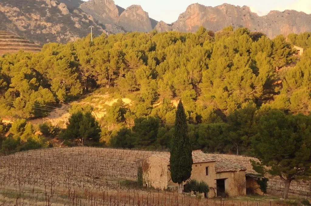 Bed & Breakfast Le Mas Des Armouriers Violes