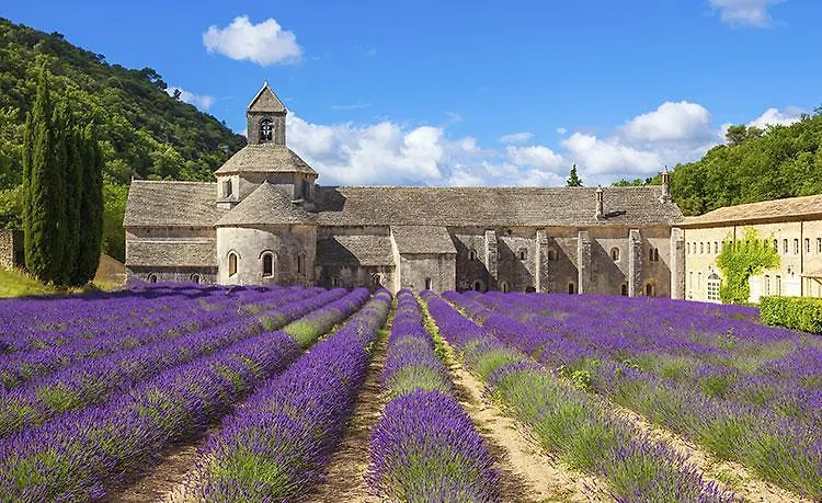 Le Mas Des Armouriers Violes